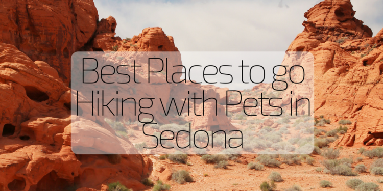 Best Places To Go Hiking With Pets In Sedona Orchard Canyon On Oak