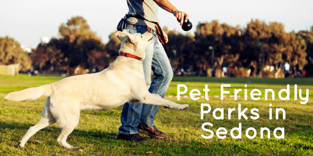Bring your furry friend along the next time you head out to one of these pet friendly parks in Sedona! Fun, exciting, exercise for the whole family.